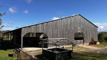 Divers à vendre à Porcaro dans le Morbihan (56380), ref : 56046-1353