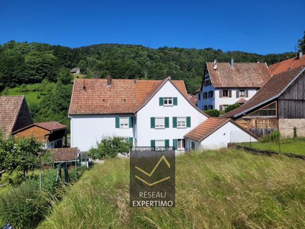 Soultzeren (68140) Grande maison familiale 220 m² sur 15 ares de terrain traversé par un ruisseau.