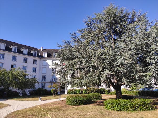 Appartement T3 ? Quartier Belle Fille, Tours