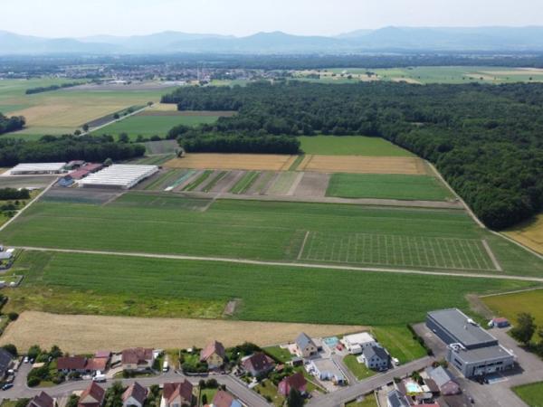 Vente / Terrain