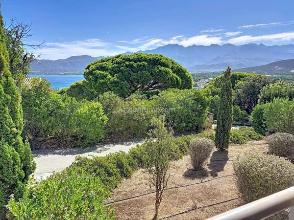 Vente                                                      Appartement
                        
                     2 pièces                      35 m2                     à Calvi