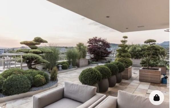 Vente Appartement P4 Grande terrasse-Attique Tassin-la-demi-lune   