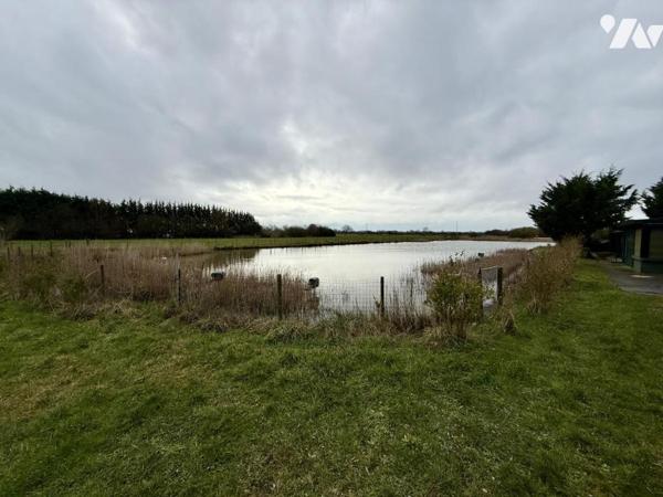 Beau marais avec hutte et habitation