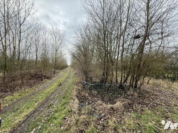 Beau marais avec hutte et habitation