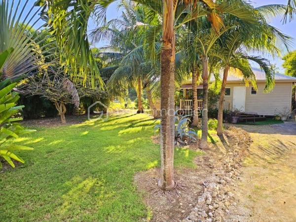 *** NOUVEAUTE BSK IMMOBILIER ***

Bungalow  entièrement meublé et équipé  avec fort potentiel – Terrain de 575 m² arboré et plat – à Saint-François proche mer.

Situé à Saint-François, station balnéaire prisée pour sa qualité de vie et son attractivité, ce charmant bungalow bénéficie d’un emplacement idéal, à 5 minutes des plages, du golf, du centre-ville, de la marina et de toutes les commodités.

Implanté sur un terrain plat de 575 m², ce bien offre 45 m² habitables comprenant :
une pièce de vie lumineuse avec salon et cuisine ouverte,
une chambre climatisée avec sa douche à l'italienne,
un WC indépendant.
un canapé convertible qui offre deux couchages supplémentaires.
une terrasse couverte de 15 m², parfaite pour les repas en extérieur.

À l’extérieur, un espace cosy agrémenté d’un bac à punch de 2x2m au sel invite à la détente et au farniente.
Le bien est prêt à l’emploi, idéal pour une résidence principale, un pied-à-terre ou un investissement locatif.

Le terrain, situé en zone U4 du PLU, permet d’envisager d’autres constructions, offrant ainsi un fort potentiel de rentabilité.

Atouts supplémentaires :
Climatisation et brasseur d'air,
Volets roulants et stores électriques.
Container 20 pieds aménagé en atelier ou espace de stockage
Cuve tampon d'eau potable 
Cuve de récupération d'eau de pluie
Assainissement individuel
4 places de stationnement
Environnement très calme et recherché

Un bien rare alliant emplacement, potentiel et qualité de vie, à découvrir sans tarder.

📞 Pour toute information ou visite, contactez moi dès maintenant !