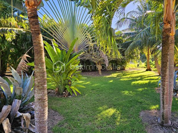 *** NOUVEAUTE BSK IMMOBILIER ***

Bungalow  entièrement meublé et équipé  avec fort potentiel – Terrain de 575 m² arboré et plat – à Saint-François proche mer.

Situé à Saint-François, station balnéaire prisée pour sa qualité de vie et son attractivité, ce charmant bungalow bénéficie d’un emplacement idéal, à 5 minutes des plages, du golf, du centre-ville, de la marina et de toutes les commodités.

Implanté sur un terrain plat de 575 m², ce bien offre 45 m² habitables comprenant :
une pièce de vie lumineuse avec salon et cuisine ouverte,
une chambre climatisée avec sa douche à l'italienne,
un WC indépendant.
un canapé convertible qui offre deux couchages supplémentaires.
une terrasse couverte de 15 m², parfaite pour les repas en extérieur.

À l’extérieur, un espace cosy agrémenté d’un bac à punch de 2x2m au sel invite à la détente et au farniente.
Le bien est prêt à l’emploi, idéal pour une résidence principale, un pied-à-terre ou un investissement locatif.

Le terrain, situé en zone U4 du PLU, permet d’envisager d’autres constructions, offrant ainsi un fort potentiel de rentabilité.

Atouts supplémentaires :
Climatisation et brasseur d'air,
Volets roulants et stores électriques.
Container 20 pieds aménagé en atelier ou espace de stockage
Cuve tampon d'eau potable 
Cuve de récupération d'eau de pluie
Assainissement individuel
4 places de stationnement
Environnement très calme et recherché

Un bien rare alliant emplacement, potentiel et qualité de vie, à découvrir sans tarder.

📞 Pour toute information ou visite, contactez moi dès maintenant !