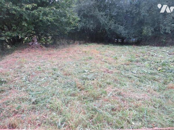 EN EXCLUSIVITE, SOULEUVRE EN BOCAGE