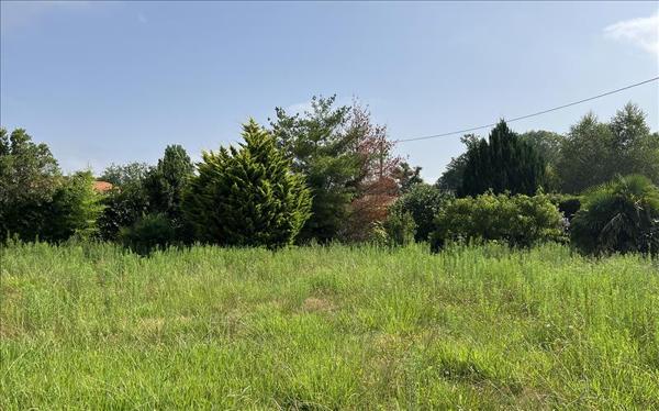 Terrain à vendre |  Soustons |  1094 m²