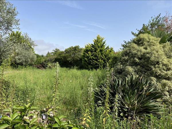 Terrain à vendre |  Soustons |  1094 m²