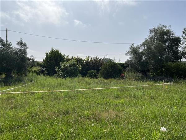 Terrain à vendre |  Soustons |  1094 m²