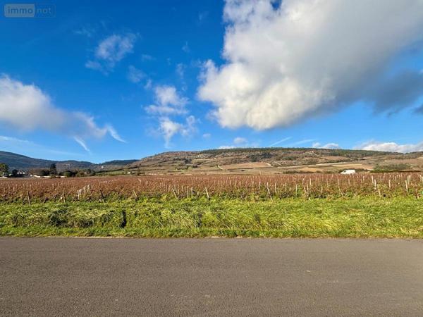 Maison à vendre à Santenay en Côte-d'Or (21590), ref : 71057-30