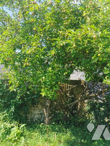 EXCLUSIVITE Centre, maison avec petite cour et jardin