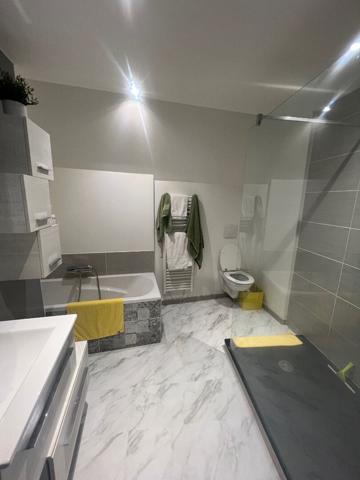 Laval centre ville appartement