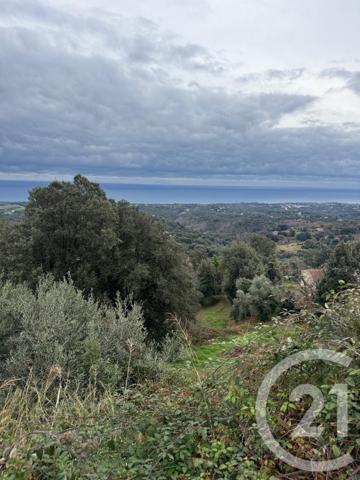 Terrain à vendre  7200 m2 CERVIONE - 202