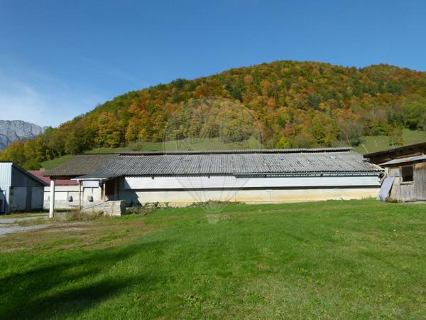 Terrain  en vente - Haute-Savoie - 74