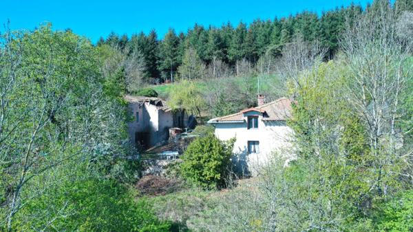 Propriété de caractère sur 2790 m² de terrain