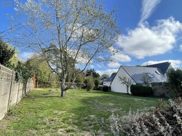 Achat - Terrain à bâtir Questembert 56230 537 m 2 537 m 2