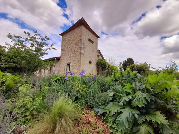 Charmante maison de campagne avec paddocks et abri