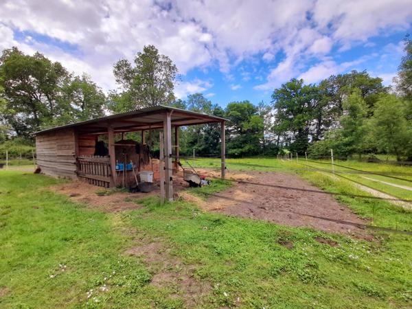 Charmante maison de campagne avec paddocks et abri