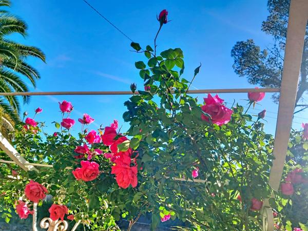 Maison avec 4 chambres à 1,5 km. De Santa Lucia.