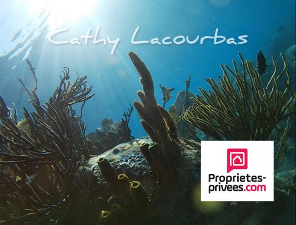 Domaine touristique clés en main- Deshaies 20 pièce(s) 400 m2