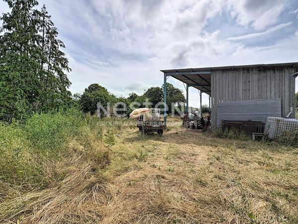 Terrain avec hangar