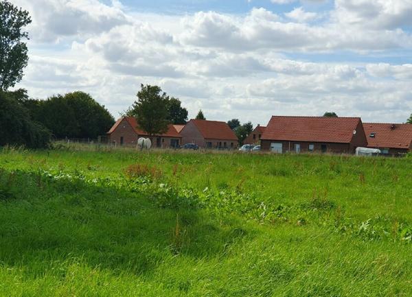 Terrain à vendre    604 m2 Bersée