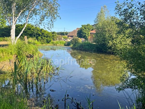 A vendre SAINT JEAN D’ASSÉ Maison de caractère avec dépendances sur 2,5 hectares