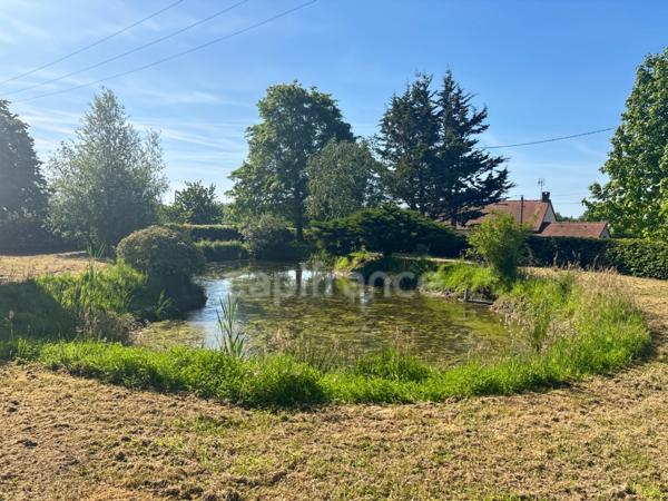 A vendre SAINT JEAN D’ASSÉ Maison de caractère avec dépendances sur 2,5 hectares
