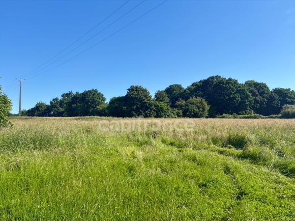 A vendre SAINT JEAN D’ASSÉ Maison de caractère avec dépendances sur 2,5 hectares