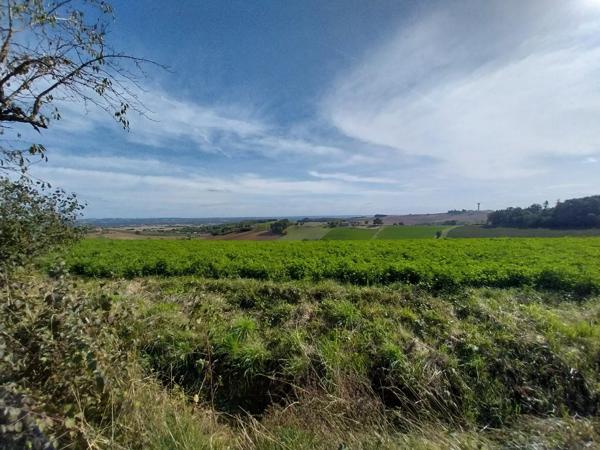 Ancienne maison de vigneron de charme avec piscine et vue panoramique sur la campagne