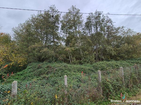 Maison Secteur Lassay-les-Châteaux