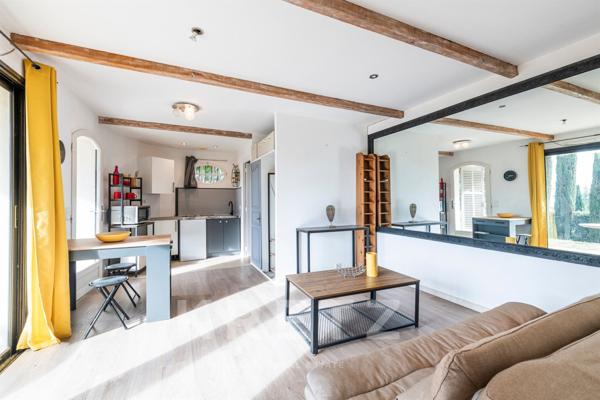 VUE PANORAMIQUE MAISON FAMILIALE 5 SUITES CHATEAUNEUF-GRASSE