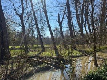 Terrain de loisirs - Bois - Etang à vendre à Cormery dans l'Indre-et-Loire (37320), ref : 034/1391