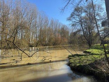 Terrain de loisirs - Bois - Etang à vendre à Cormery dans l'Indre-et-Loire (37320), ref : 034/1391
