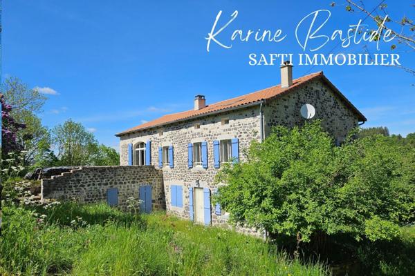 Belle maison en pierres sur grand jardin