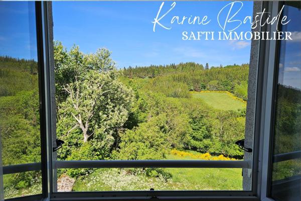 Belle maison en pierres sur grand jardin