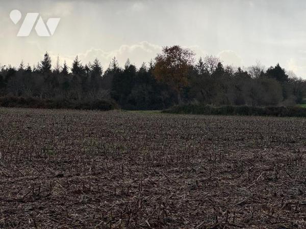 COAT MEAL. Corps de ferme avec plusieurs dépendances, posé en  pleine campagne, au coeur de plu...