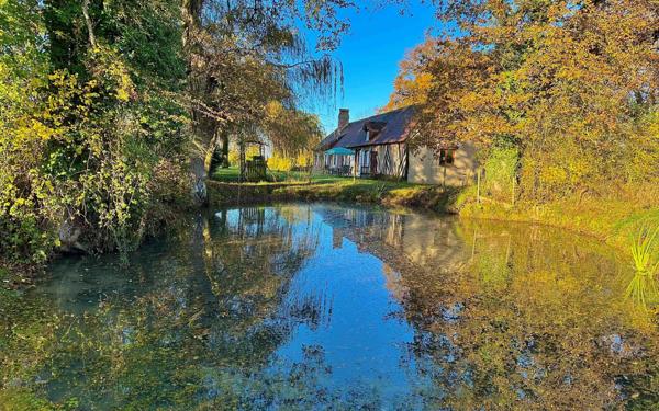 Maison à vendre    4 pièces • 99 m2 L'Oudon