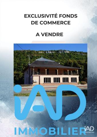 Restaurant à vendre 285 m² Massignieu-de-Rives