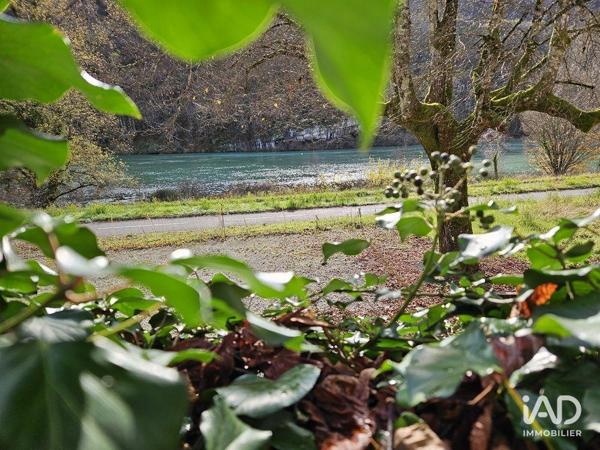 Restaurant à vendre 285 m² Massignieu-de-Rives