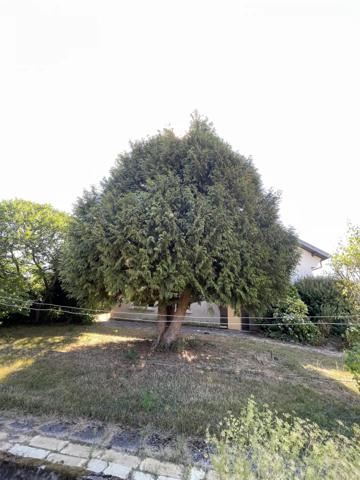 Vente                                                      Maison
                        
                     6 pièces                      120 m2                     à Thiaville-sur-Meurthe
