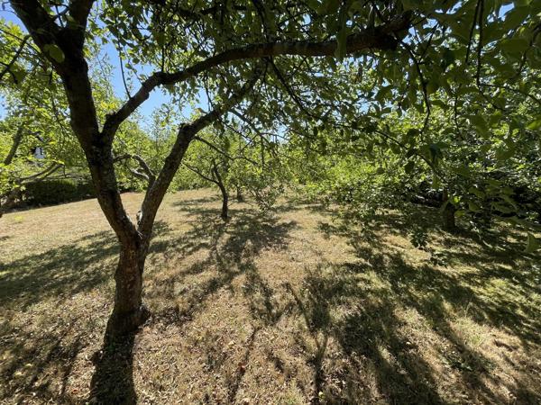 Vente                                                      Maison
                        
                     6 pièces                      120 m2                     à Thiaville-sur-Meurthe