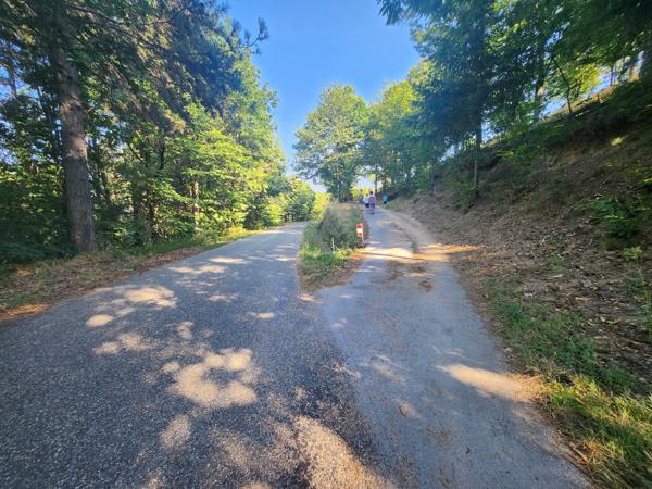 Maison dominante à 500m - vue panoramique sur la montagne - 3 logements - source - terrain - parking Ailhon (07200)