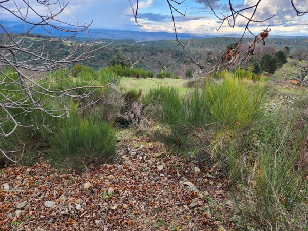 Maison dominante à 500m - vue panoramique sur la montagne - 3 logements - source - terrain - parking Ailhon (07200)