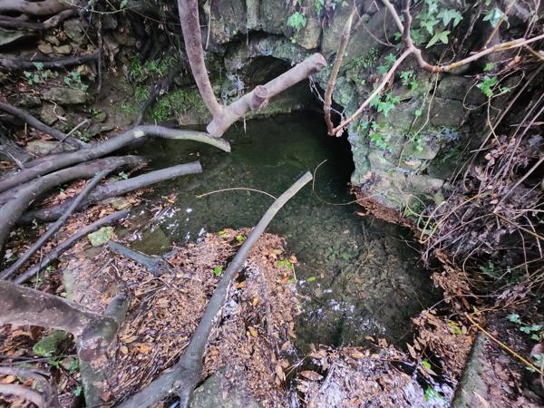 Maison dominante à 500m - vue panoramique sur la montagne - 3 logements - source - terrain - parking Ailhon (07200)