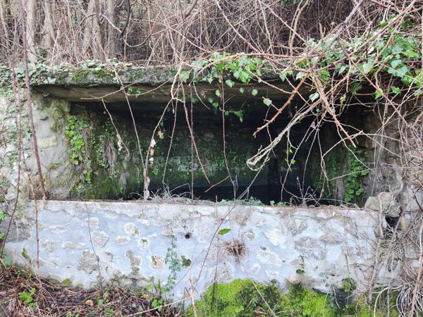 Maison dominante à 500m - vue panoramique sur la montagne - 3 logements - source - terrain - parking Ailhon (07200)