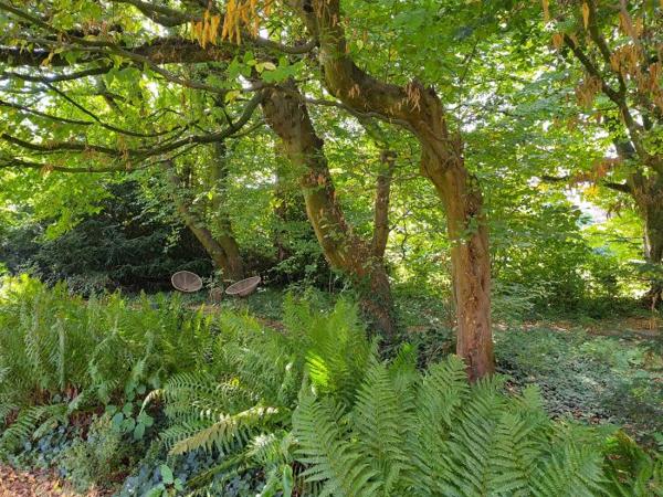 Maison individuelle Marcq-en-Baroeul 244.59 m²