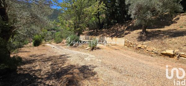 Terrain à vendre 2 009 m² Solliès-Toucas