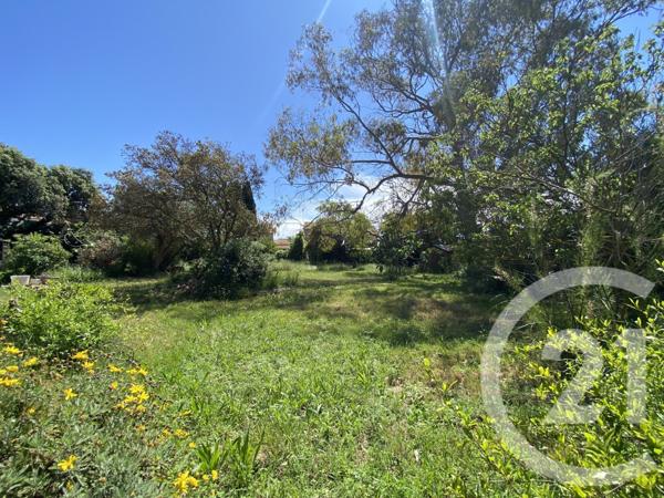 Maison à vendre  6 pièces - 186,38 m2 AGDE - 34